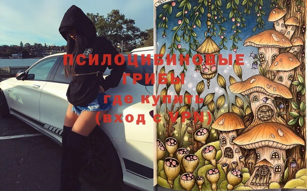 тгк Кинешма