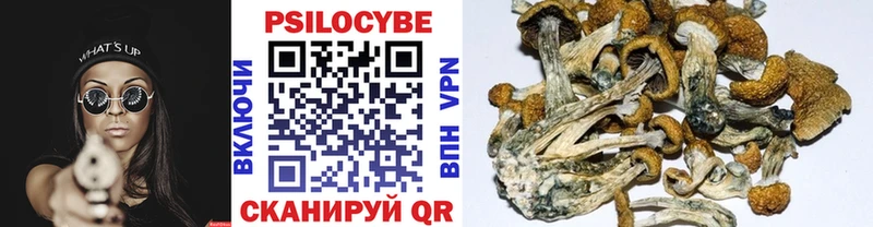Купить закладки  Питкяранта  Псилоцибиновые грибы Magic Shrooms 